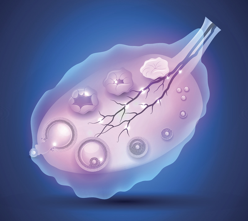 盘点2026温州10大助孕机构，任选一家医院成功率都很高